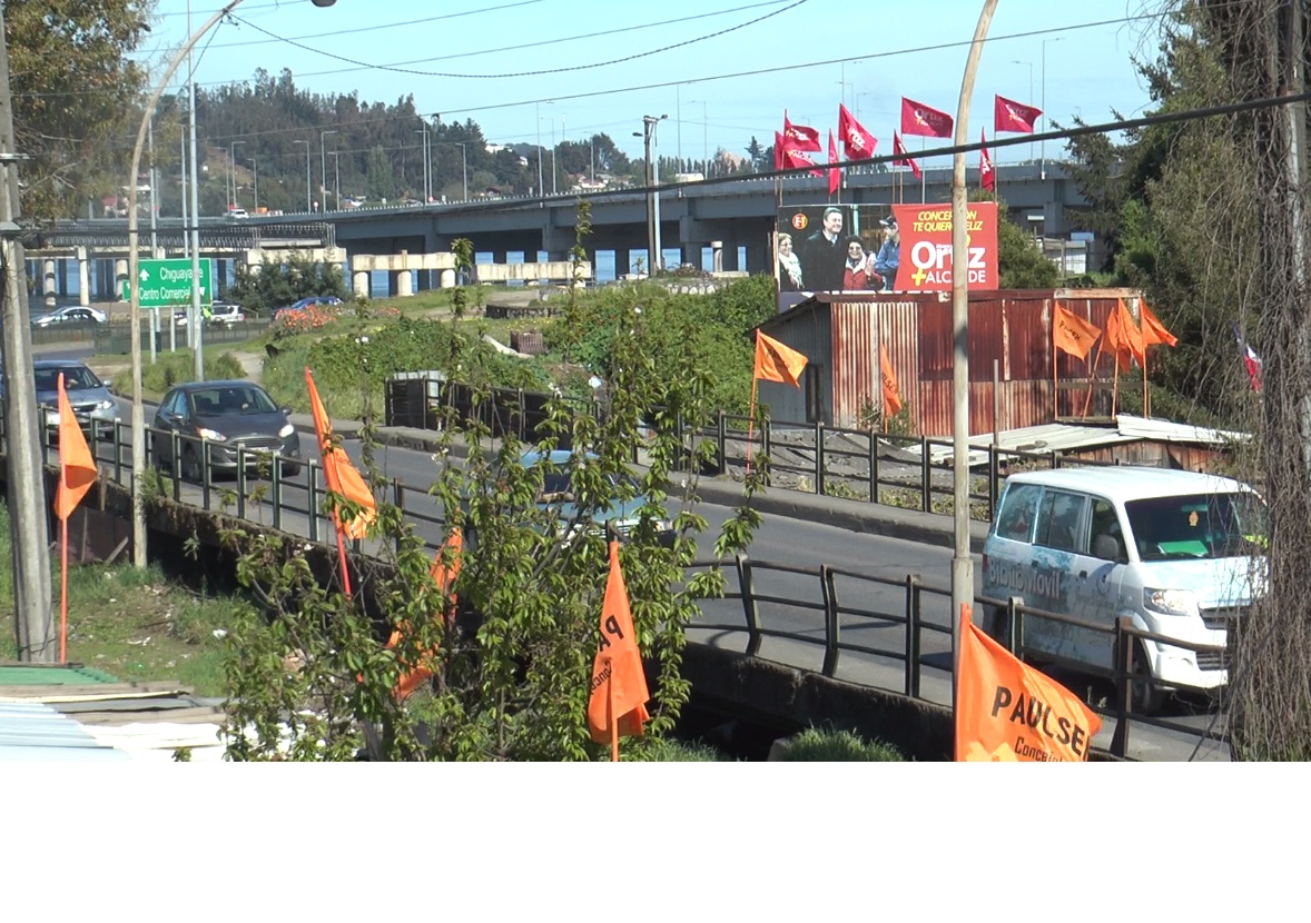 Banderas en sector Aurora de Chile de Concepción