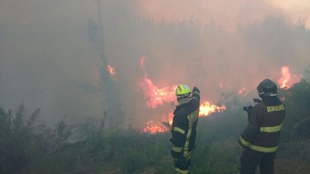 Camiones aljibes junto a bomberos intentan apagar incendio en sector Tranque de la Luz en Curauma, cerca de Valparaíso