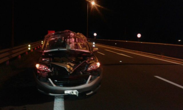 Fatal atropello se registró esta noche en la ruta Concepción-Cabrero