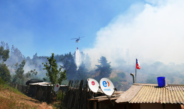 Incendio afectó a cerros de comuna de Concón