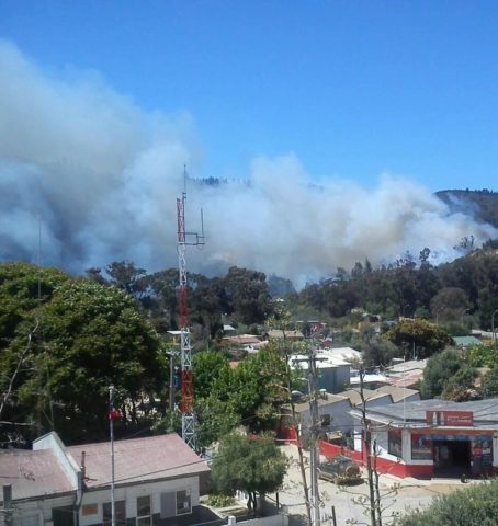 Incendio afecta a sector de Laguna Verde
