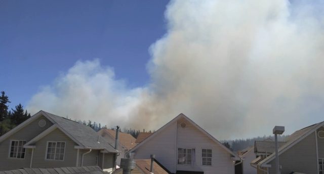 Incendio afecta a sector de Laguna Verde, visto desde las casas de la comuna