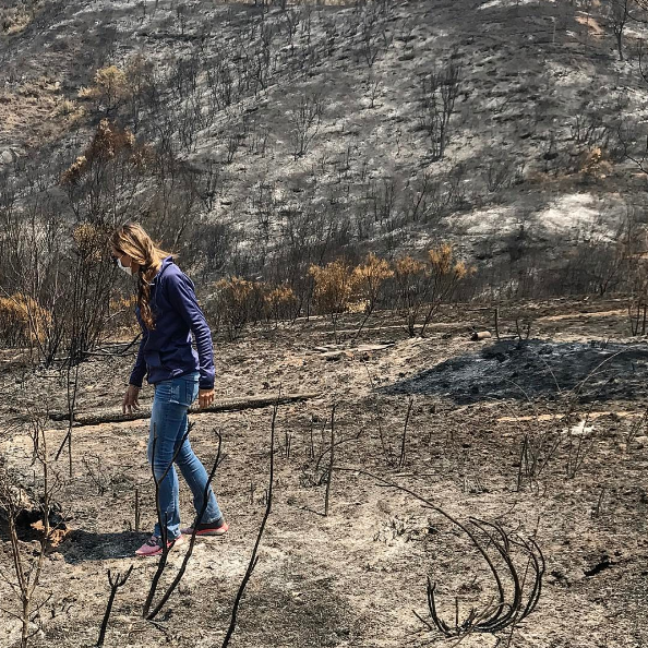 Angélica Castro recorre bosques cercanos a su vivienda en Vichuquén, afectados por los incendios