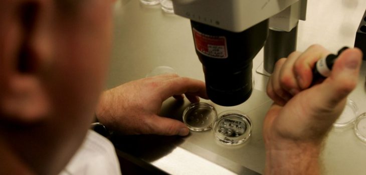 Controversia causa apoyo de científicos a modificación genética de embriones humanos