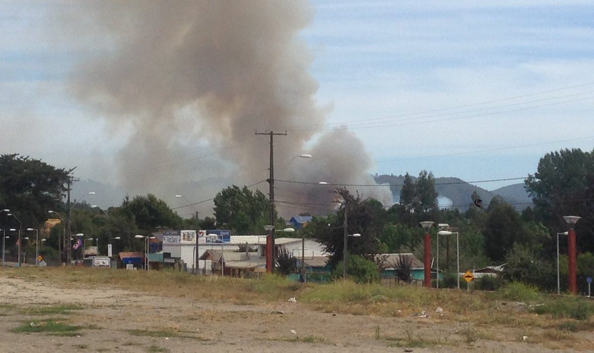 Incendio Forestal en Hualqui