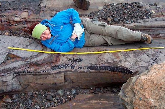 Científica chilena halla valiosísimo fósil de ictiosaurio en Torres del Paine