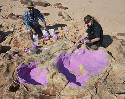 Descubren la huella de dinosaurio más grande del mundo en el "Jurassic park" australiano