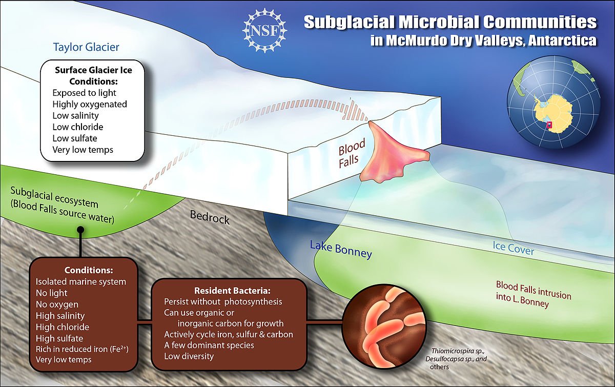 Ilustración que muestra la ubciación del lago subterráneo y cómo llega el agua hasta la superficie | Zina Deretsky | US National Science foundation (NSF)