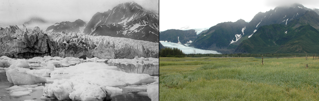Derretimiento del Glaciar Pedersen, Alaska, entre 1920 y 2005