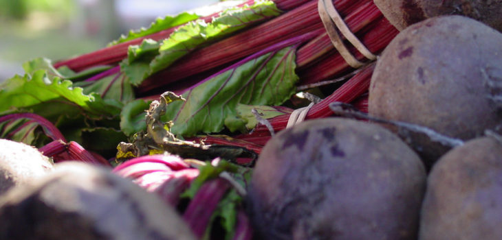 Larry Hoffman (CC) Flickr