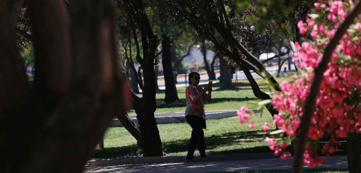 Archivo | Rafa Martínez | Agencia Uno