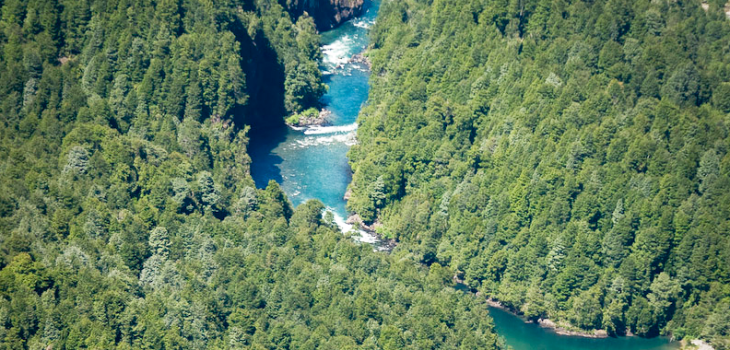 ARCHIVO | www.centraldepasadamediterraneo.cl