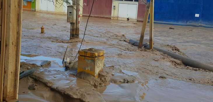 Guido Castillo | Agencia UNO