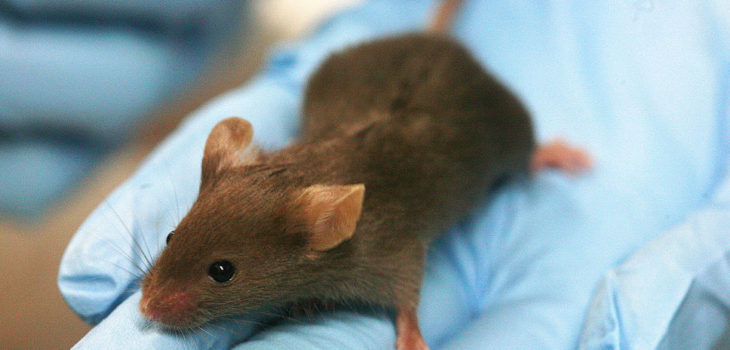 Archivo | Global Panorama (CC) Flickr