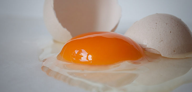 Daniel Novta (CC) Flickr