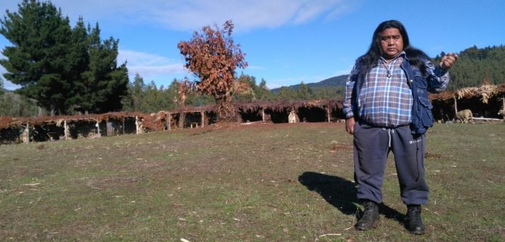 Constanza Reyes | RBB