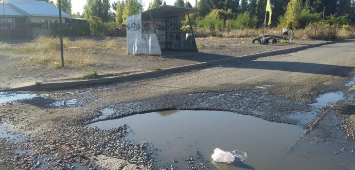 Archivo | Sector Chacayal Sur