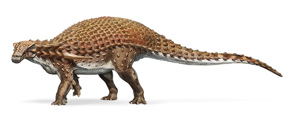 Ilustración de cómo luciría un nodosaurio | National Geographic | www.nationalgeographic.com