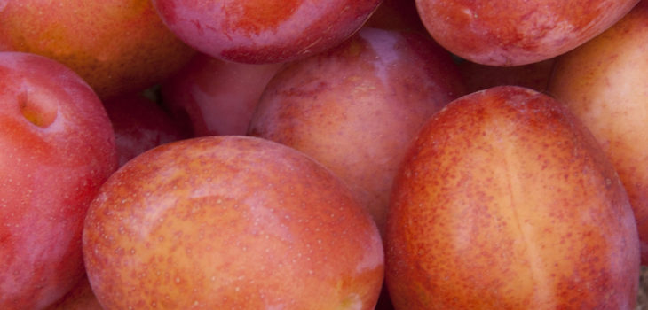 Tony Hisgett (CC) Flickr