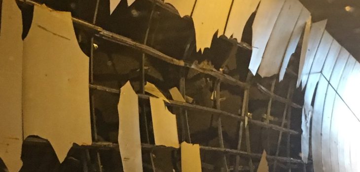 @AnitaCruzat en Twitter