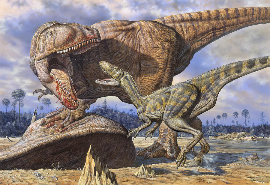 El dinosaurio de mayor tamaño es un Carcharodontosaurus 