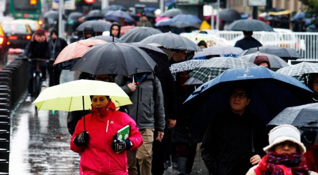 Cristóbal Escobar | Agencia Uno