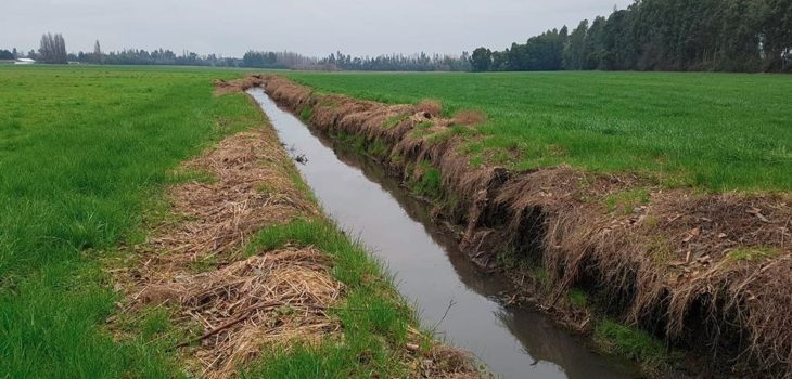 Constanza Reyes (RBB)