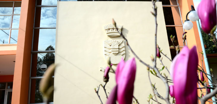 Municipalidad de Chiguayante