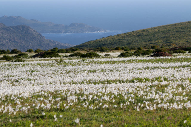 Hernán Contreras  Agencia UNO