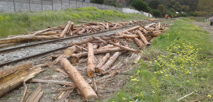 Restos de madera de tren asaltado | RBB