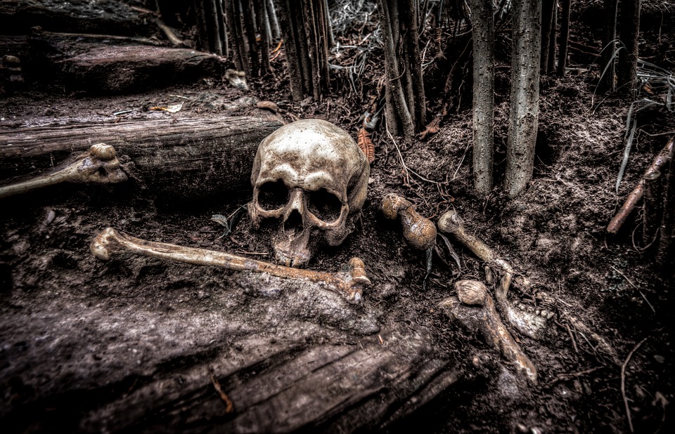Dead Sign Bones Death Horror Skeleton Skull Head