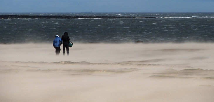 Andrew Gustar (CC) Flickr