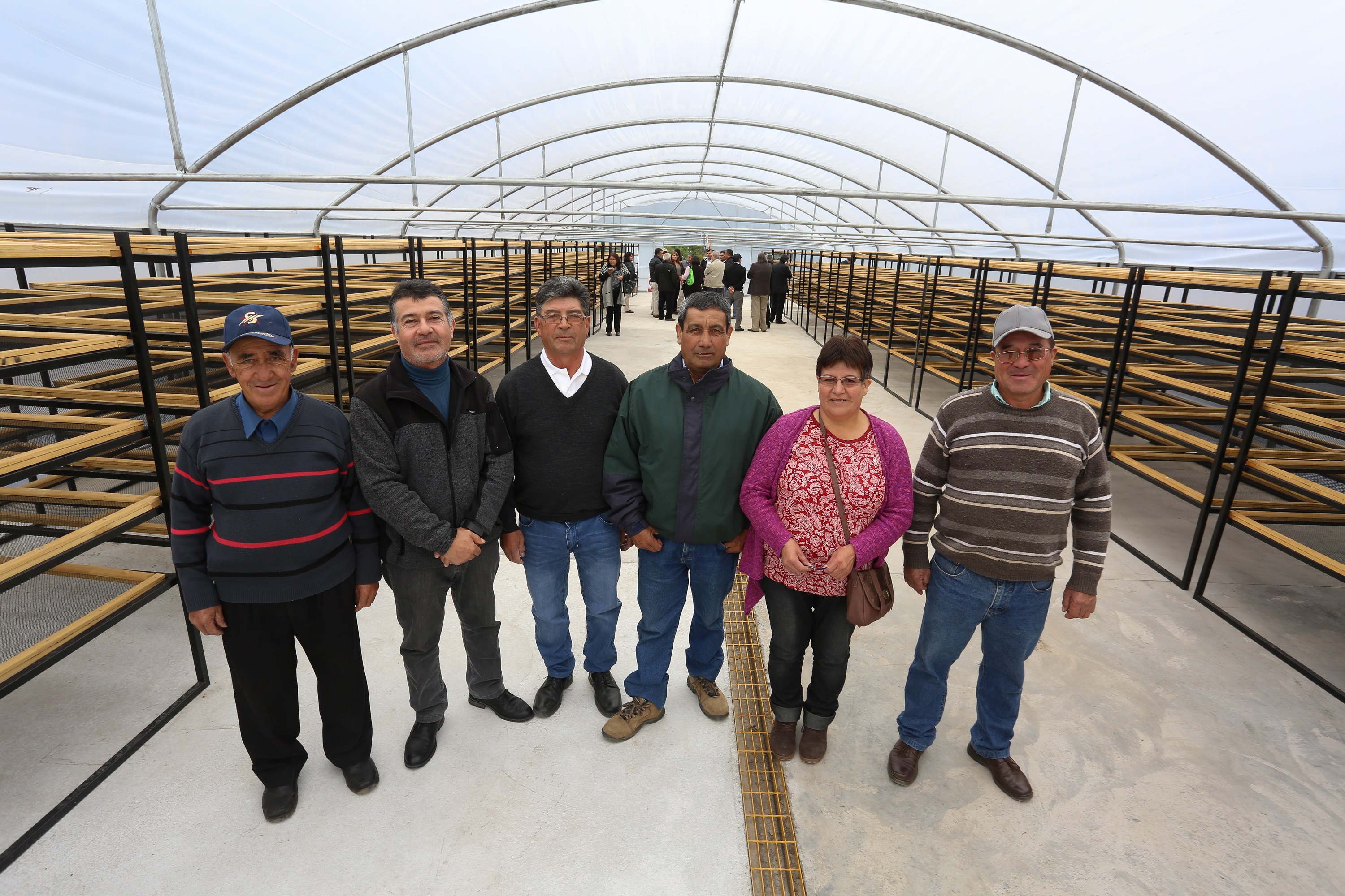Nuevo invernadero de Cooperativa Agrofrutícola Chillepín | Indap