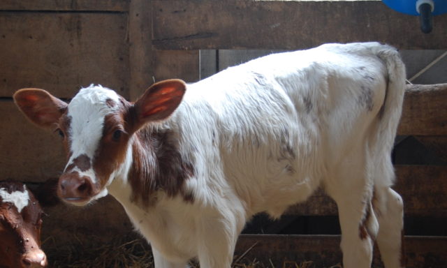 Contexto | pidoubleg (CC) Flickr