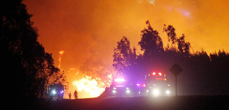 incendio-forestal-consume-600-hectareas-en-traiguen-gobierno-decreta-alerta-roja.jpg