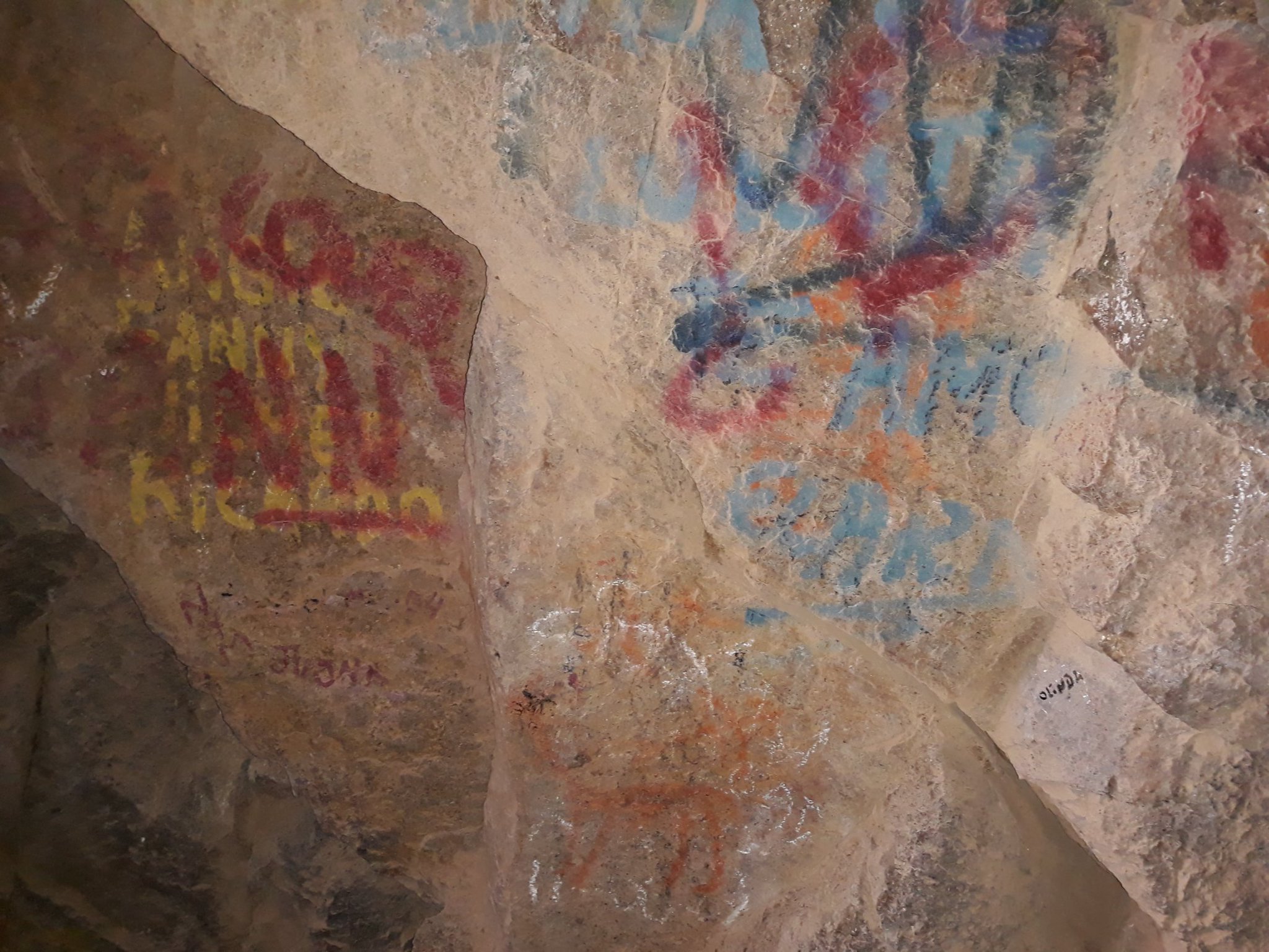 Rayados sobre pinturas rupestres de vicuñas y cántaros de agua.