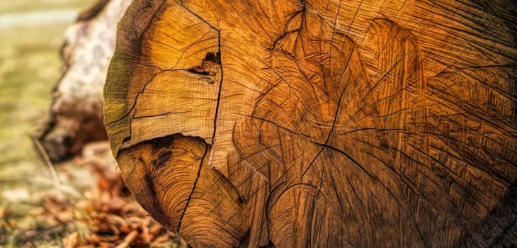 Imagen de contexto | http://maxpixel.freegreatpicture.com