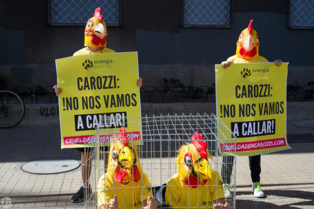 protesta-en-santiago-por-la-produccion-de-huevos-2