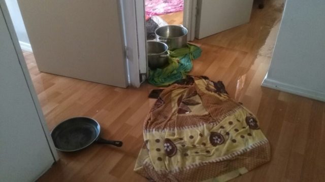 Franco Hernández (RBB)