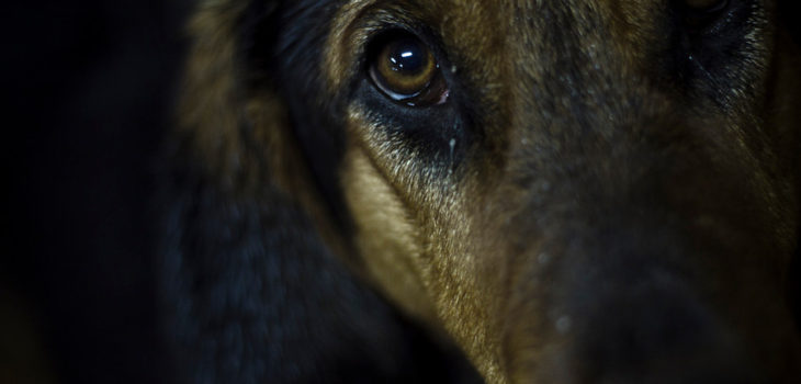 CONTEXTO | Hans Scott | Agencia UNO