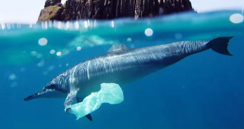 Captura | National Geographic 