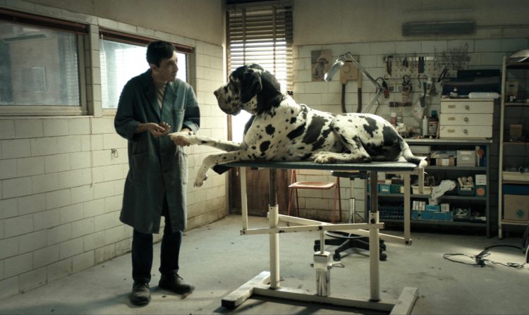 “Dogman”.