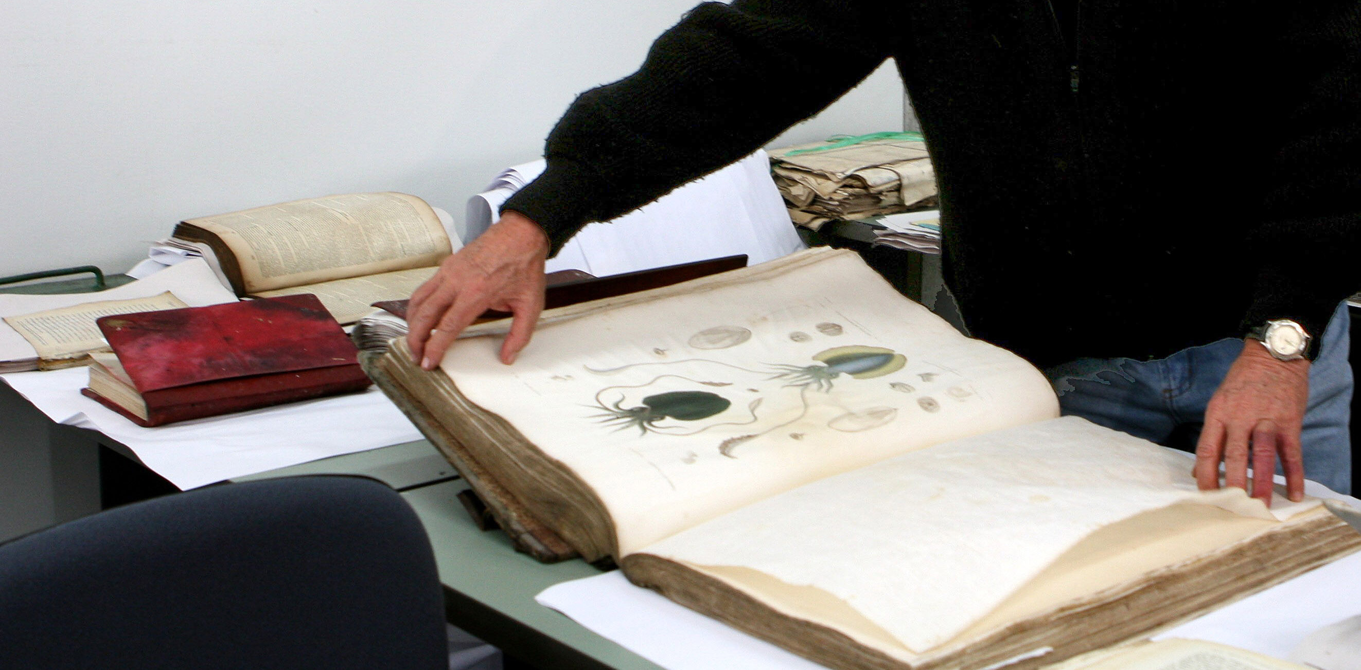 ARCHIVO | Agence France-Presse