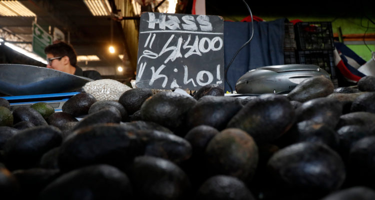 Francisco Flores Seguel | Agencia UNO