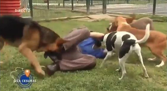 Galicia Viva | Captura