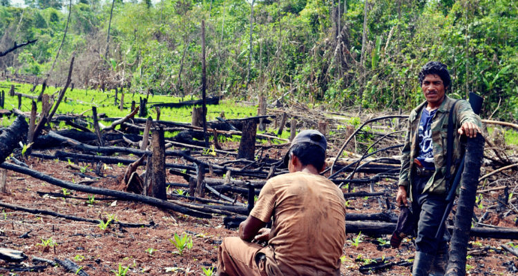 Alam Ramírez Zelaya (CC) Flickr