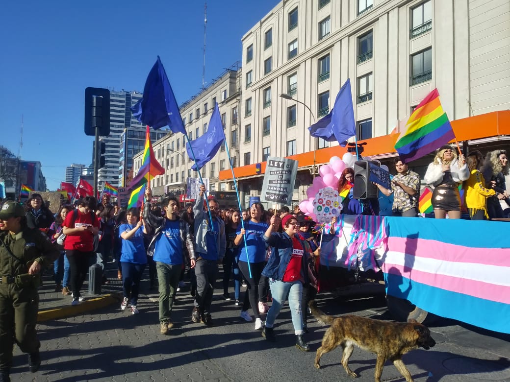 Marcha del orgullo LGTB en Concepción.