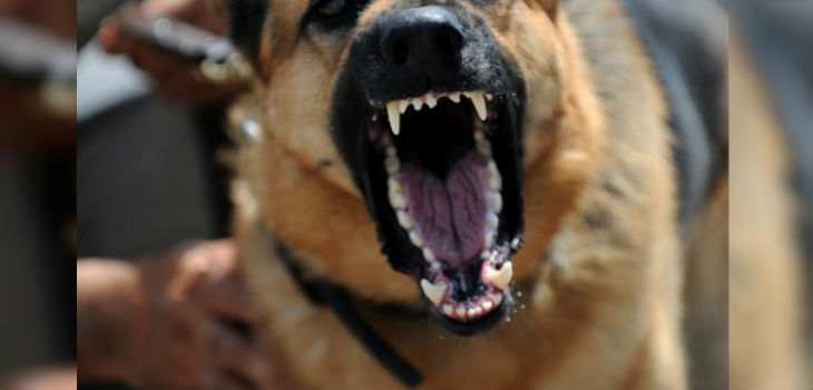 ARCHIVO | Max Pixel (cc)