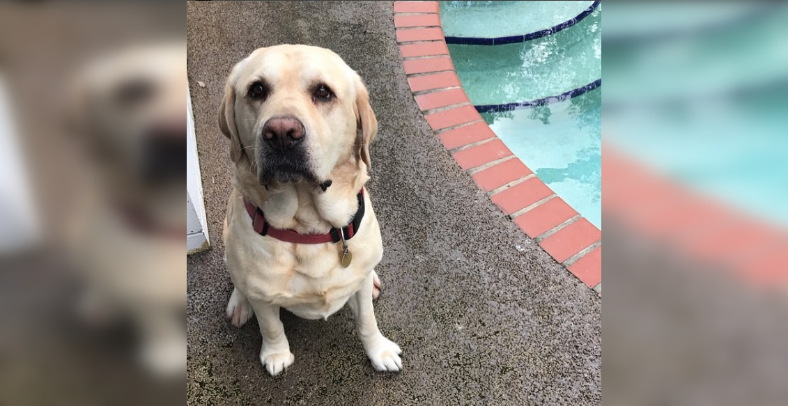 samthegoodboi | Instagram