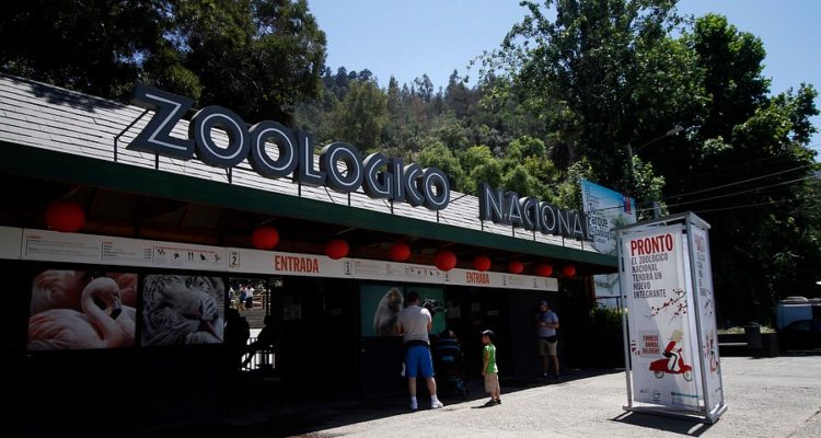 Javier Salvo | Agencia Uno